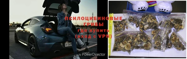 mdpv Алексин