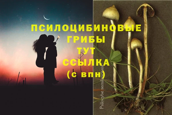 mdpv Алексин