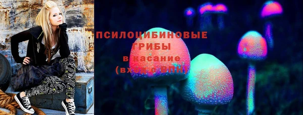 дурь Алексеевка